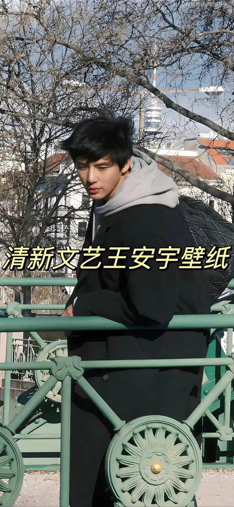 王安宇